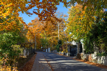 Naklejka premium Ulica w Heringsdorfie