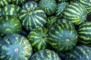 Close up of a bunch of green watermelon
