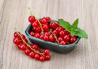 Red currants