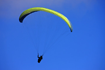 Paraglider