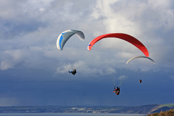 Paragliders above Whitsand Bay