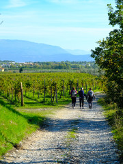 passeggiata in campagna 1