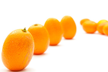 Kumquat freigestellt