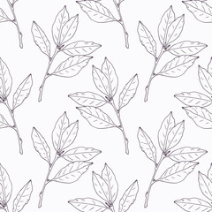 Hand drawn bay leaf and branch outline seamless pattern - 94684894