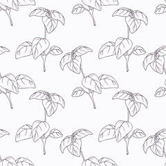 Hand drawn basil branch outline seamless pattern - 94684899