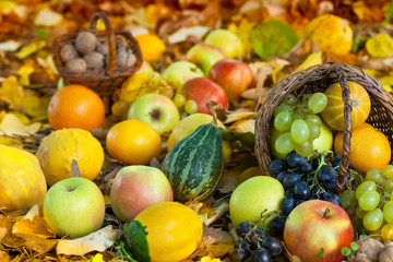 Naklejka na ściany i meble Autumn fruits in yellow leaves
