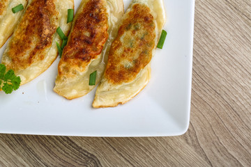 Obraz na płótnie Canvas Japan traditional cuisine - Gyoza