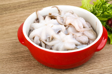 Raw baby octopus