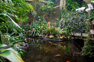 Exotic tropical garden landscape