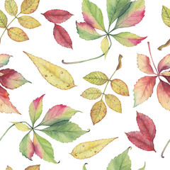 Seamless pattern with hand drawn autumn leaves. Original bright colors watercolor background.