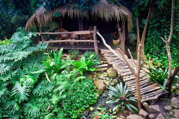 Exotic tropical garden landscape