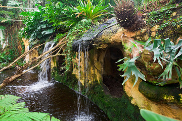 Exotic tropical garden landscape