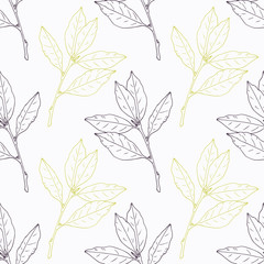 Hand drawn bay leaf and branch stylized black with green seamless pattern
