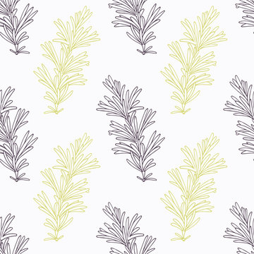 Hand drawn rosemary branch stylized black and green seamless pattern