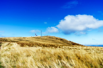 Fototapeta premium Paints fantastic fall in the Carpathian Mountains