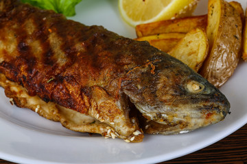 Grilled trout