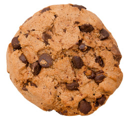 chocolate chip cookie