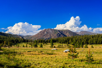 Tioga Pass, Yosemite National Park, Sierra Nevada, USA