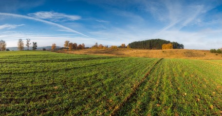 Fototapeta na wymiar Green field at autumnal morning. Panormic landscape
