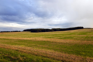   agricultural field . sunset