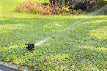 Water springer/Water springer in the garden.