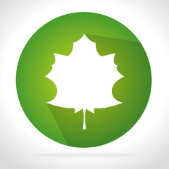 leaf green icon ecology design, vector illustration graphic.
