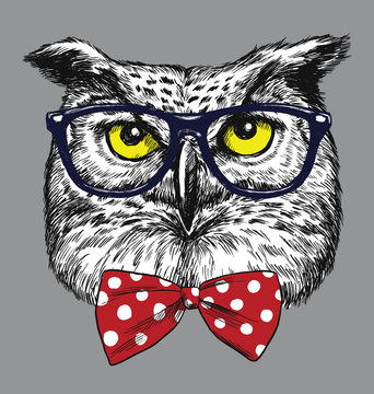 Hipster Owl with glasses and bow tie. Glasses and tie are separated.