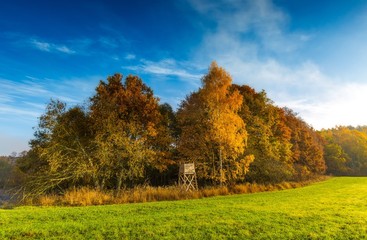 Green field at autumnal morning