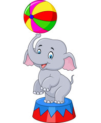 Circus elephant with a striped ball stands on a podium isolated on white background
