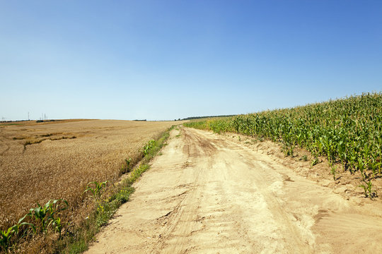 rural sandy road  