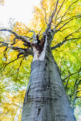 Obraz premium quellenthal