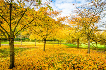 Herbstzeit