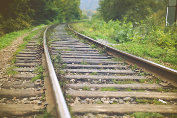 Obraz premium Railway track over green trees background
