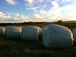 Heuballen in Folie
