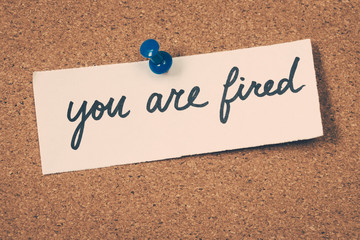 you are fired