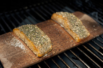 Grilled Wild Salmon