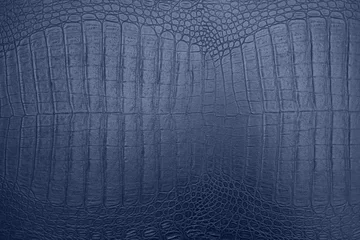 Photo sur Aluminium Crocodile texture de peau de crocodile bleu