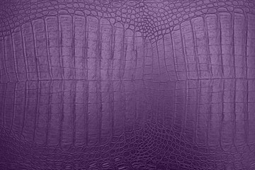 Fototapeta premium purple crocodile skin texture