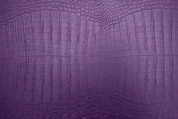 Photo sur Plexiglas Crocodile purple crocodile skin texture