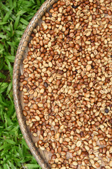 Coffee beans for backgrounds or textures
