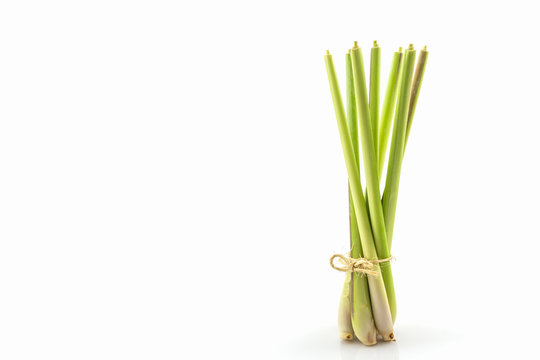 Lemon grass or Oil grass.