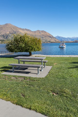 Rest area at Lake Wanaka in summer ,South Island New Zealand