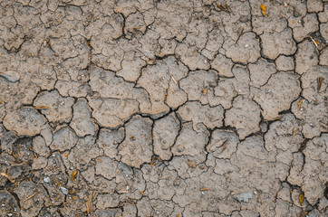 Dry and cracked earth background