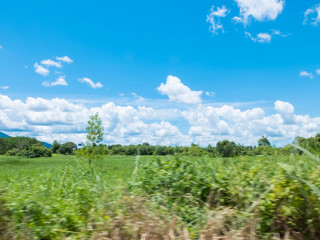 Fototapeta na wymiar Blue sky clouds with green grass meadow motion blur (focusing at