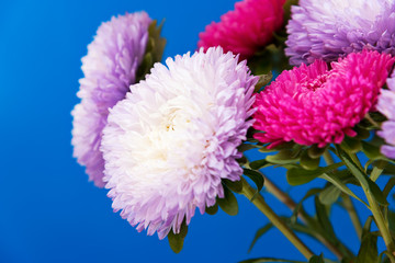 Bouquet of beautiful pink and lilac asters