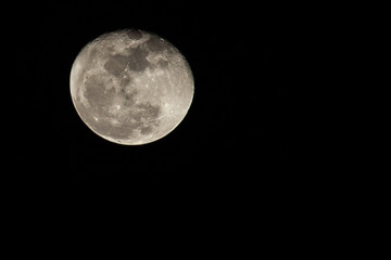 Fototapeta premium close up the moon 