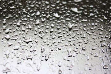 Water Drops on Grey Background