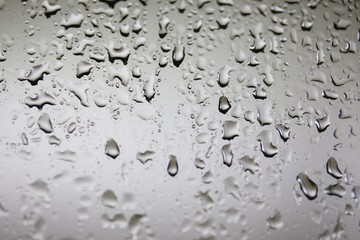 Water Drops on Grey Background