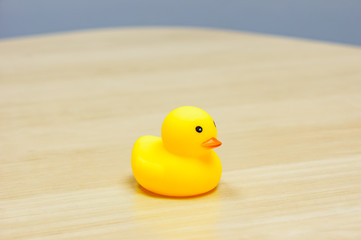 Yellow Rubber Duck isolated on the desk