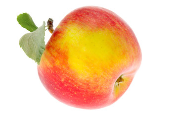 one apple with a leaf on a white background